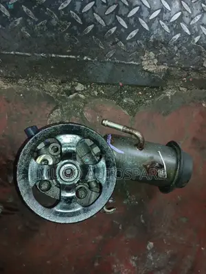 Power Steering Pump for Probox,nze,