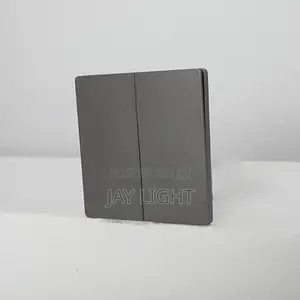 Grey Modern 2-Gang Wall Light Switch
