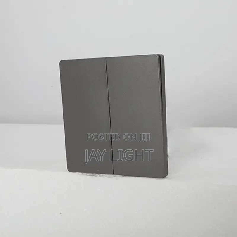 Grey Modern 2-Gang Wall Light Switch