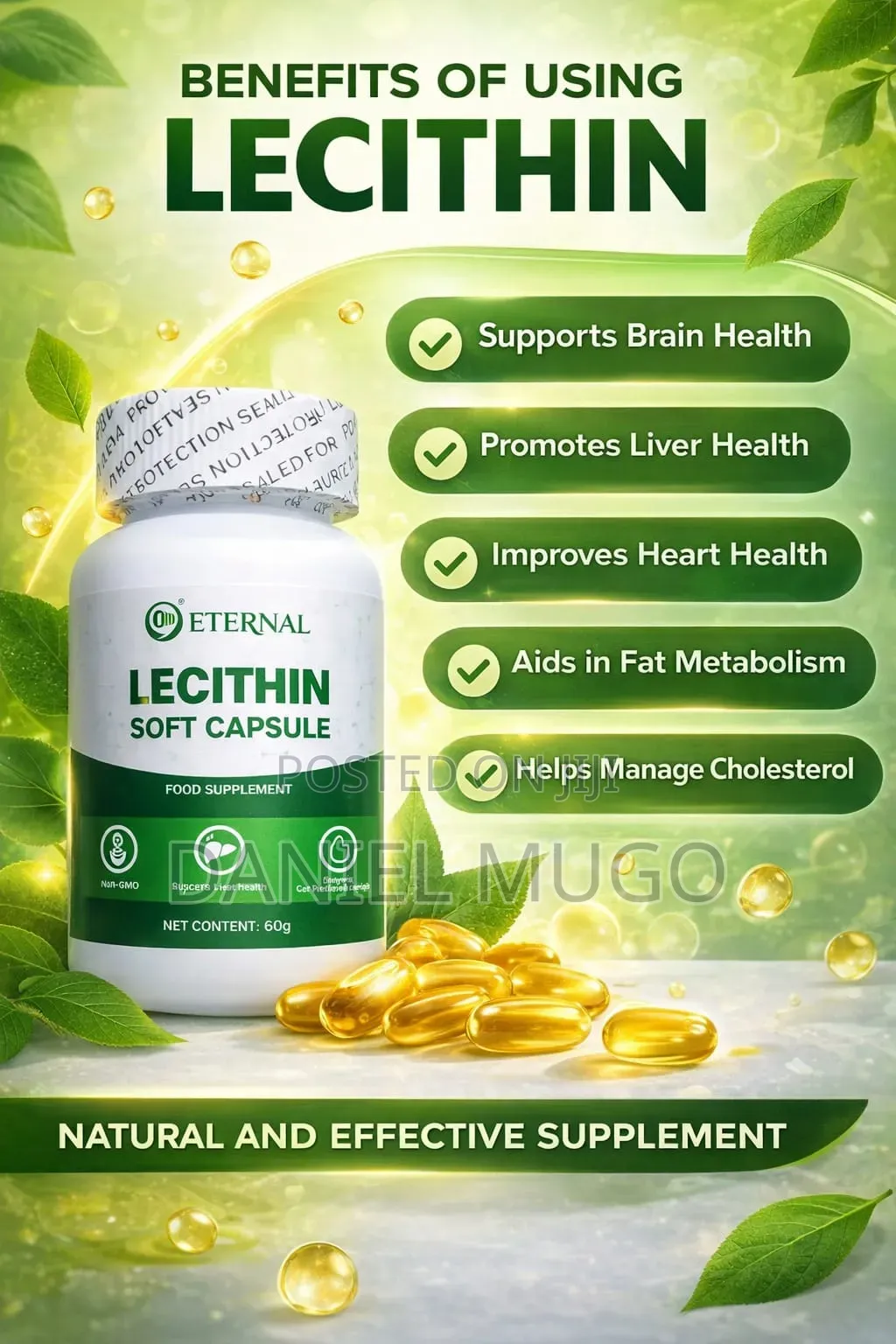 Lecithin Capsules