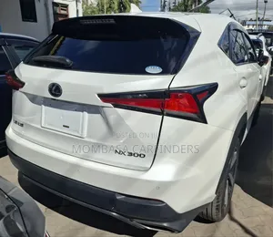 Lexus NX 2019 Pearl