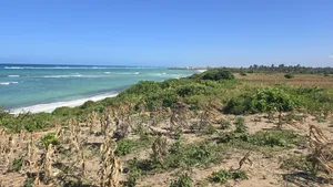 Beach Front Property 9 Acres Land Kilifi Chumani