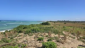 Beach Front Property 9 Acres Land Kilifi Chumani