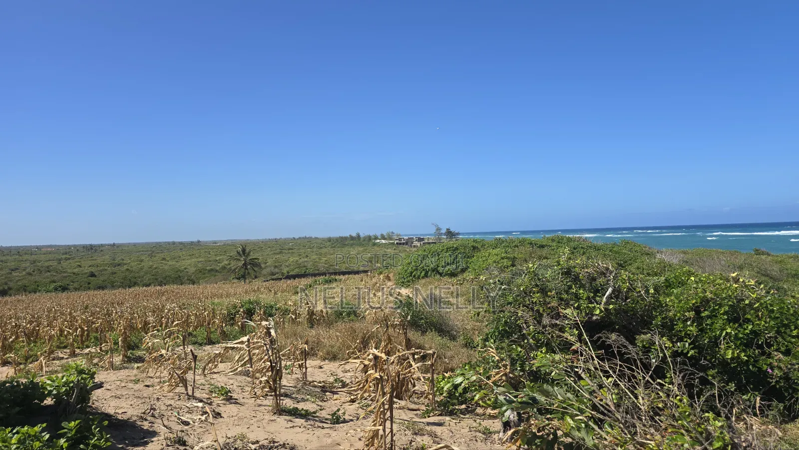 Beach Front Property 9 Acres Land Kilifi Chumani