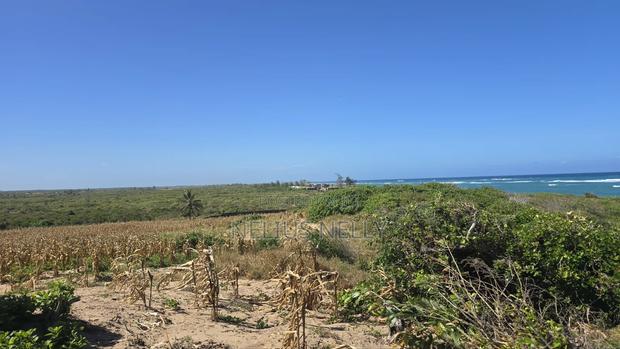 Beach Front Property 9 Acres Land Kilifi Chumani - thumbnail 3