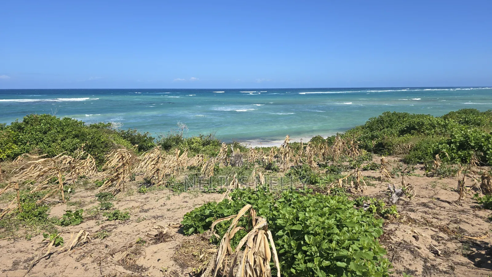 Beach Front Property 9 Acres Land Kilifi Chumani