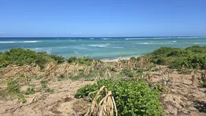 Beach Front Property 9 Acres Land Kilifi Chumani