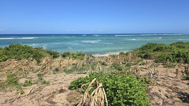 Beach Front Property 9 Acres Land Kilifi Chumani - thumbnail 4