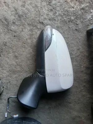 Side Mirror Fielder 161