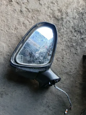 Side Mirror Fielder 161