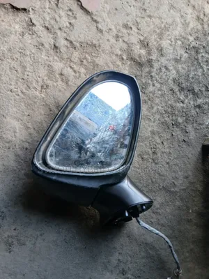 Side Mirror Fielder 161