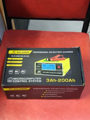 Car Motorcycle Battery Charger 12v/24v