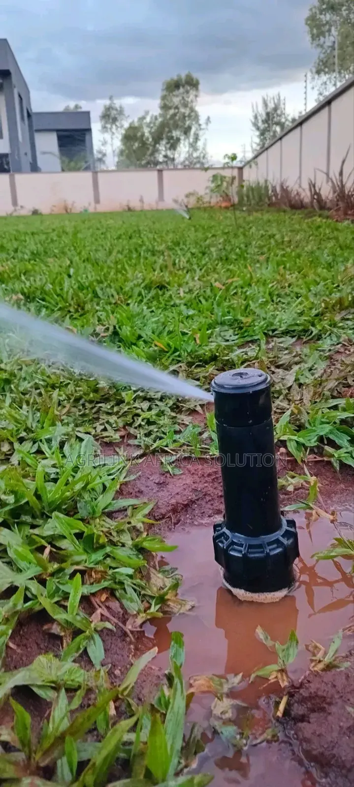 Pop Up Sprinkler