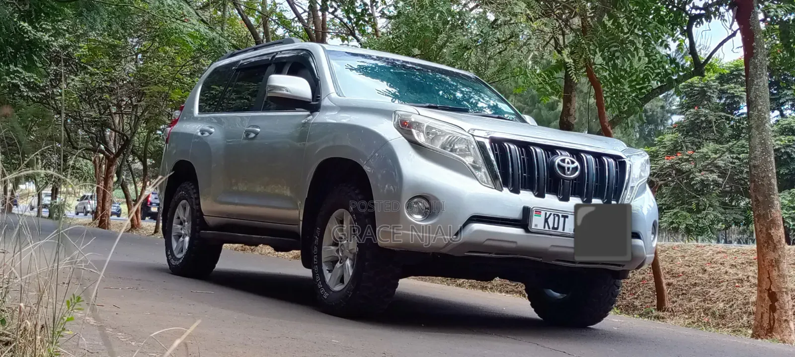 Toyota Land Cruiser Prado 2013 Silver
