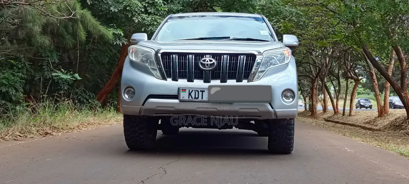 Toyota Land Cruiser Prado 2013 Silver