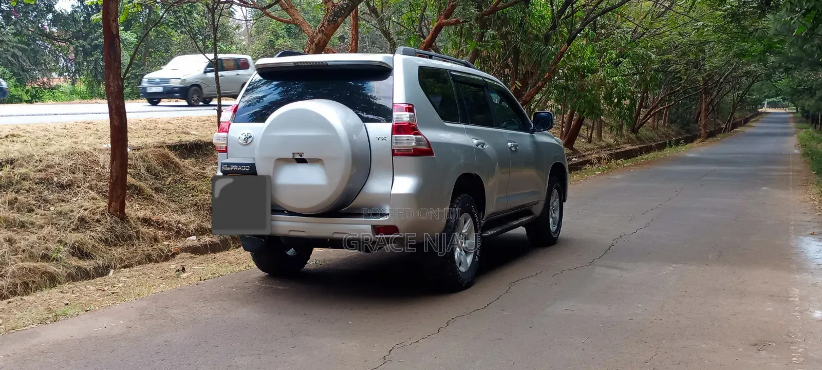 Toyota Land Cruiser Prado 2013 Silver