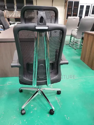 High Back Ergonomic Chair With Chrome Support