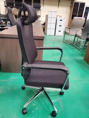 High Back Ergonomic Chair With Chrome Support