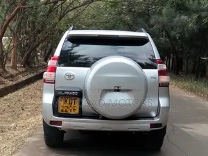Toyota Land Cruiser Prado 2013 Silver