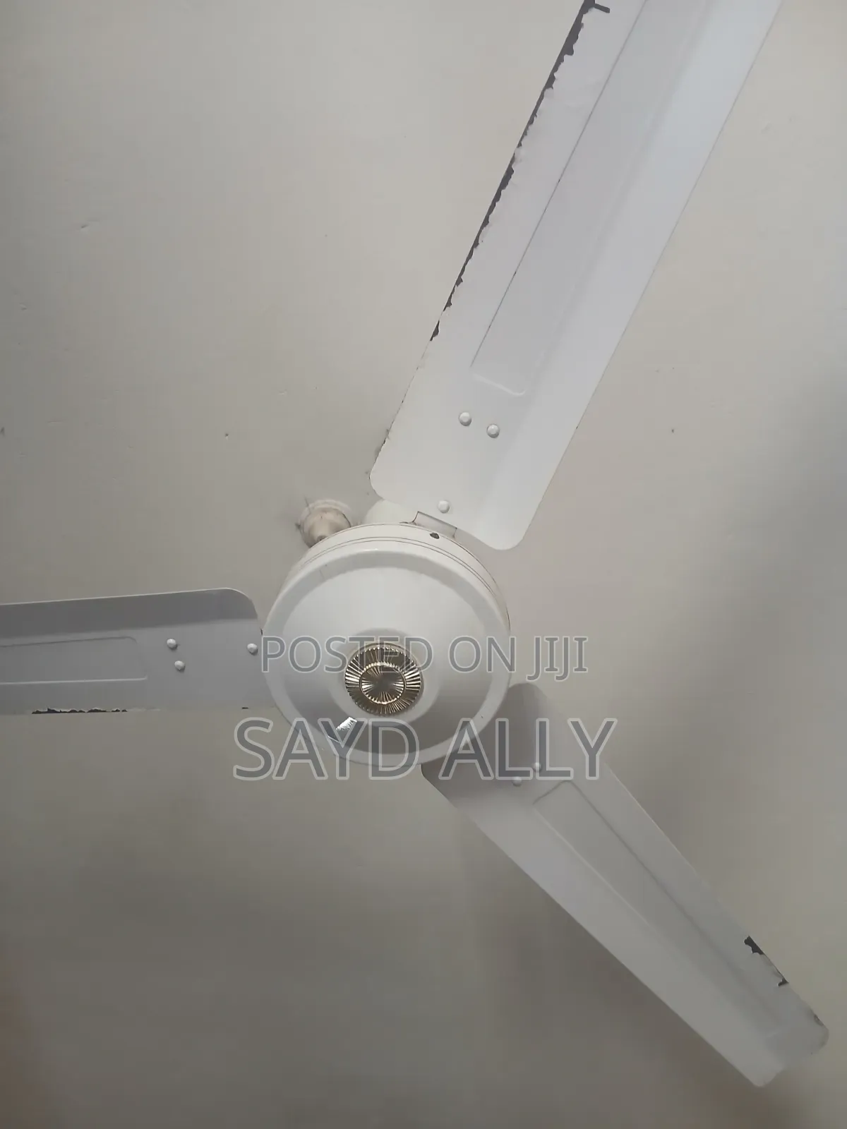 Ceiling Fan