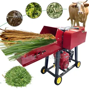High Productivity 500-8000kg/H for Silage Grass Straw Corn Stalk