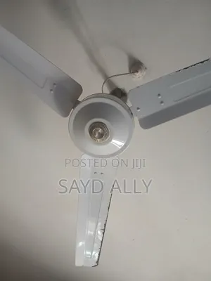 Ceiling Fan