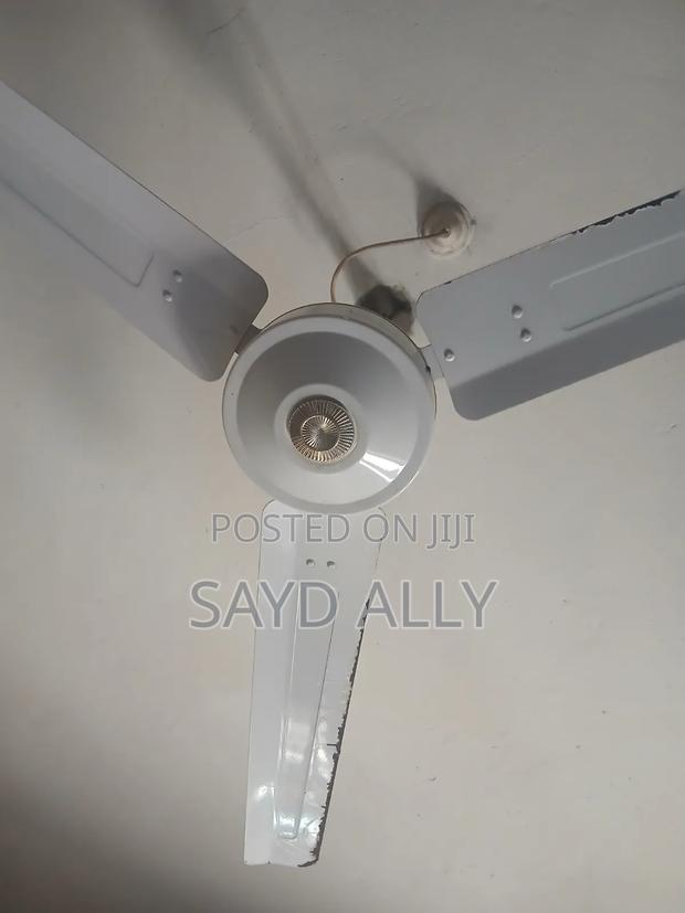 Ceiling Fan - thumbnail 2