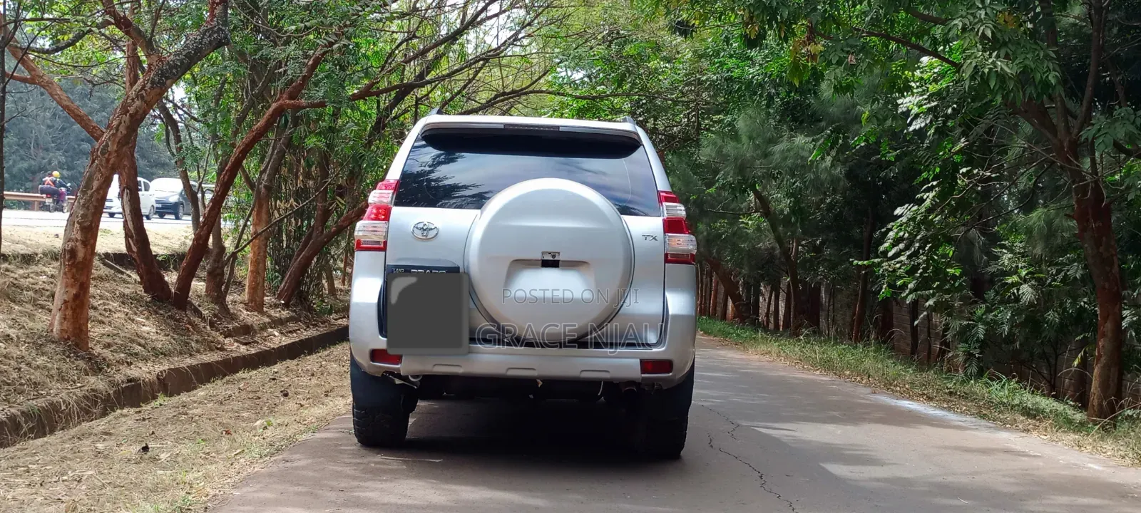 Toyota Land Cruiser Prado 2013 Silver