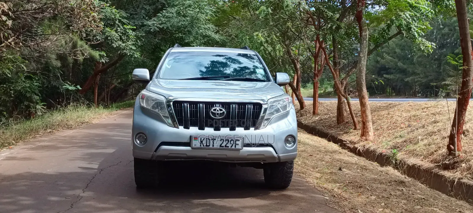 Toyota Land Cruiser Prado 2013 Silver