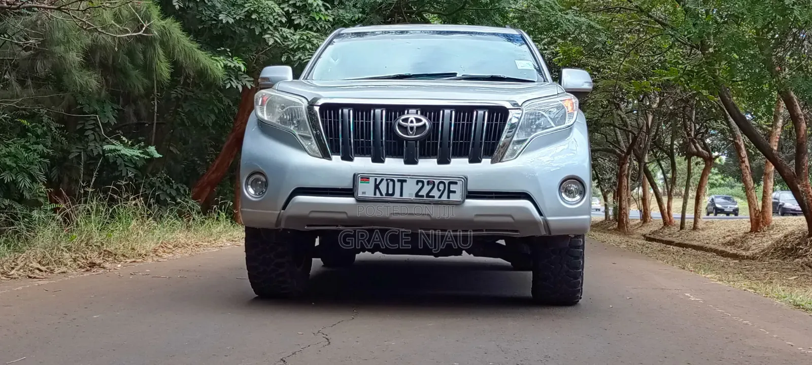 Toyota Land Cruiser Prado 2013 Silver