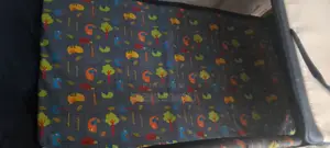 Baby Playpen/Portable Cot