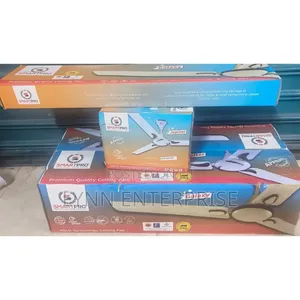 Smart Pro Ceiling Fan 24 Inches