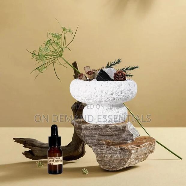 Mushroom Shaped Stone Essential Oil Diffusers Gift Pack - main view