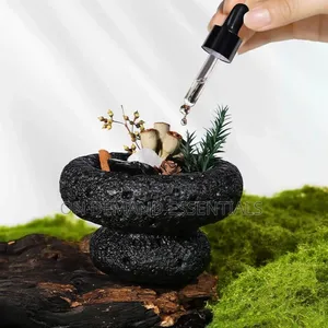 Mushroom Shaped Stone Essential Oil Diffusers Gift Pack