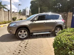 Toyota RAV4 2008 Brown