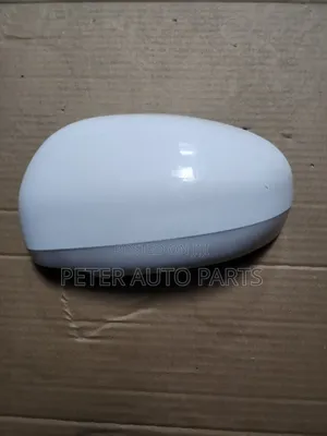 Wish,passo,mark X Sidemirror Cover