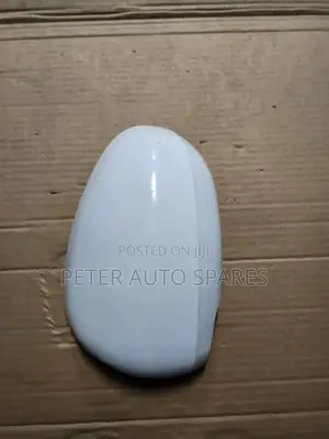 Wish,passo,mark X Sidemirror Cover