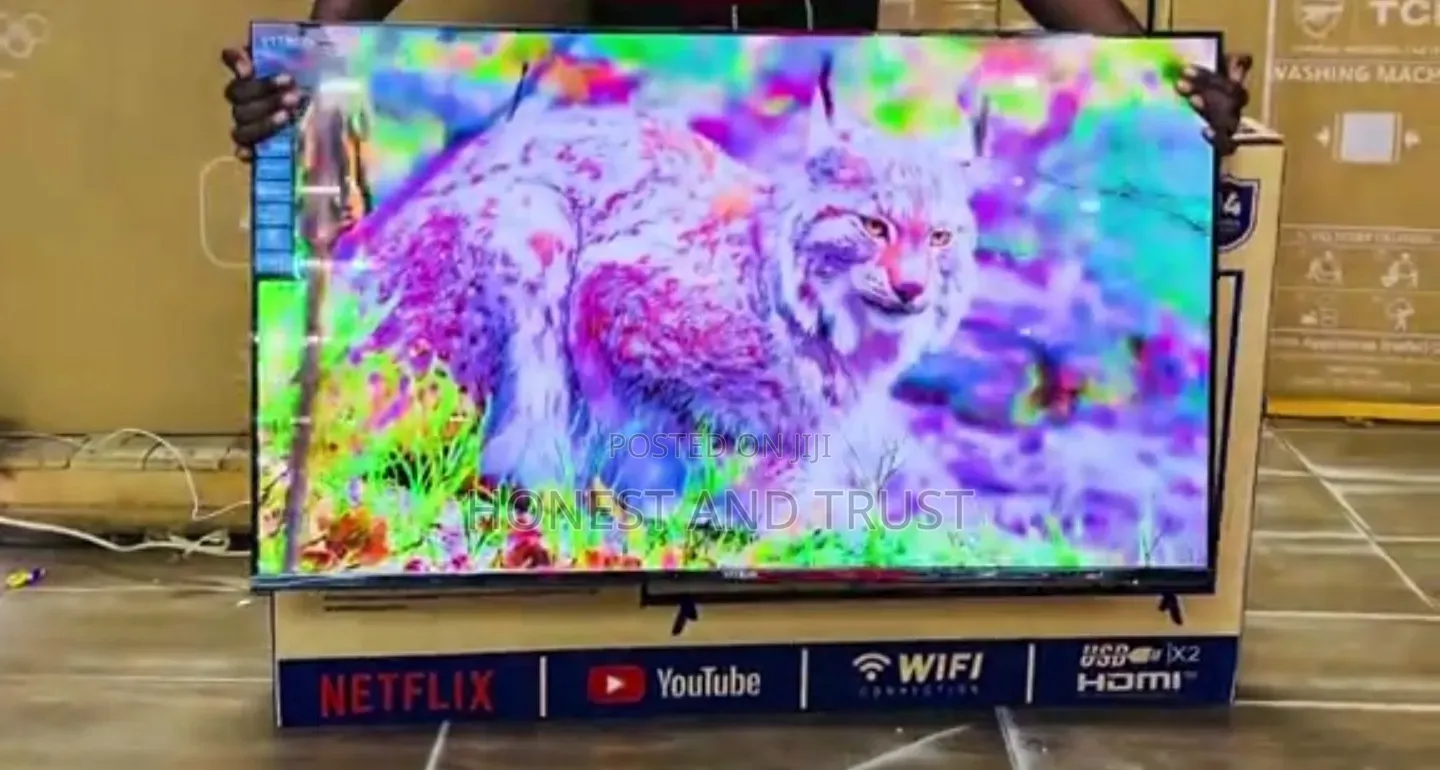 Vitron Whale Os 43 Inch TV