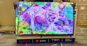 Vitron Whale Os 43 Inch TV