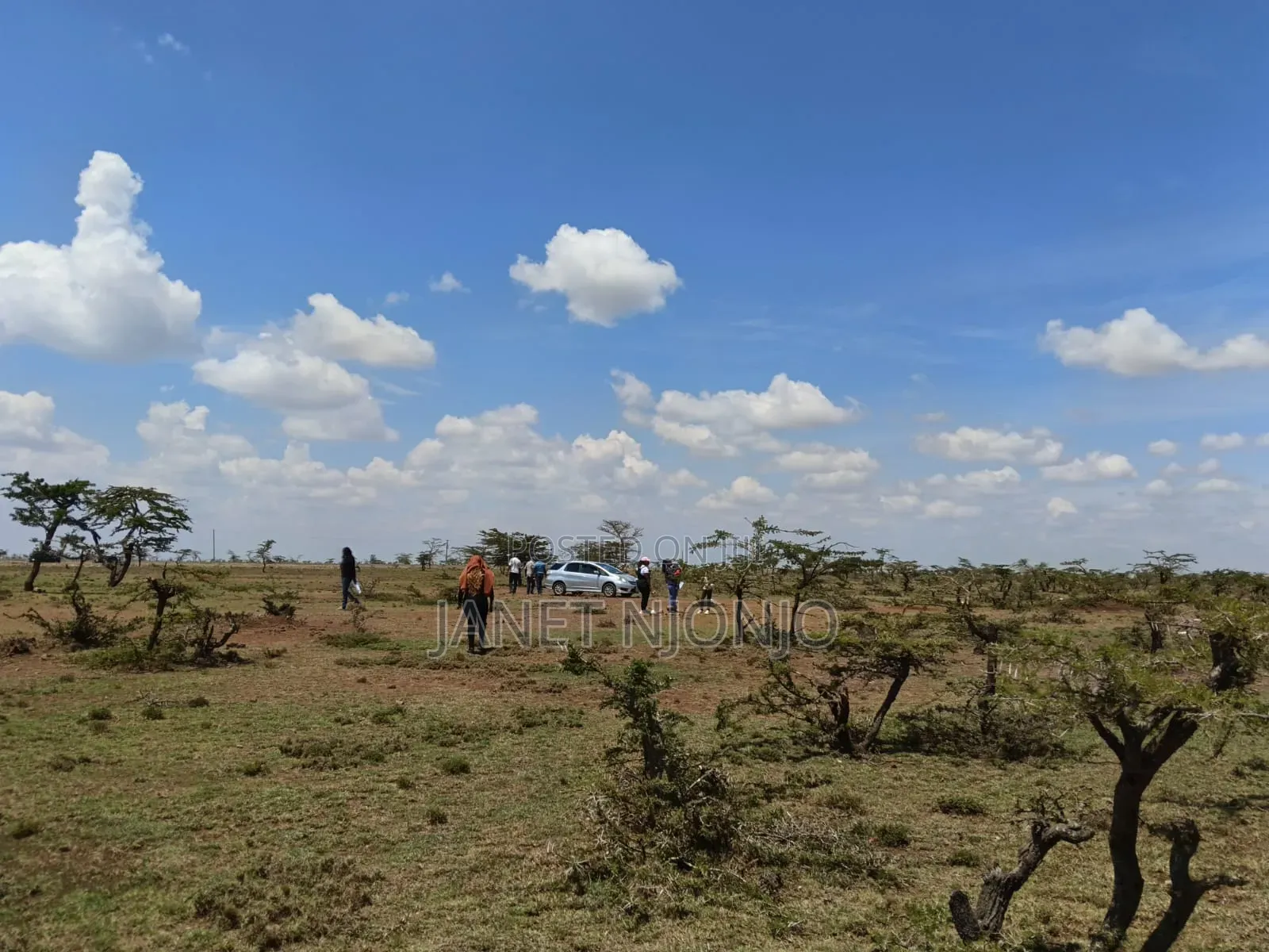 Rumuruti 50*100 Plots for Sale