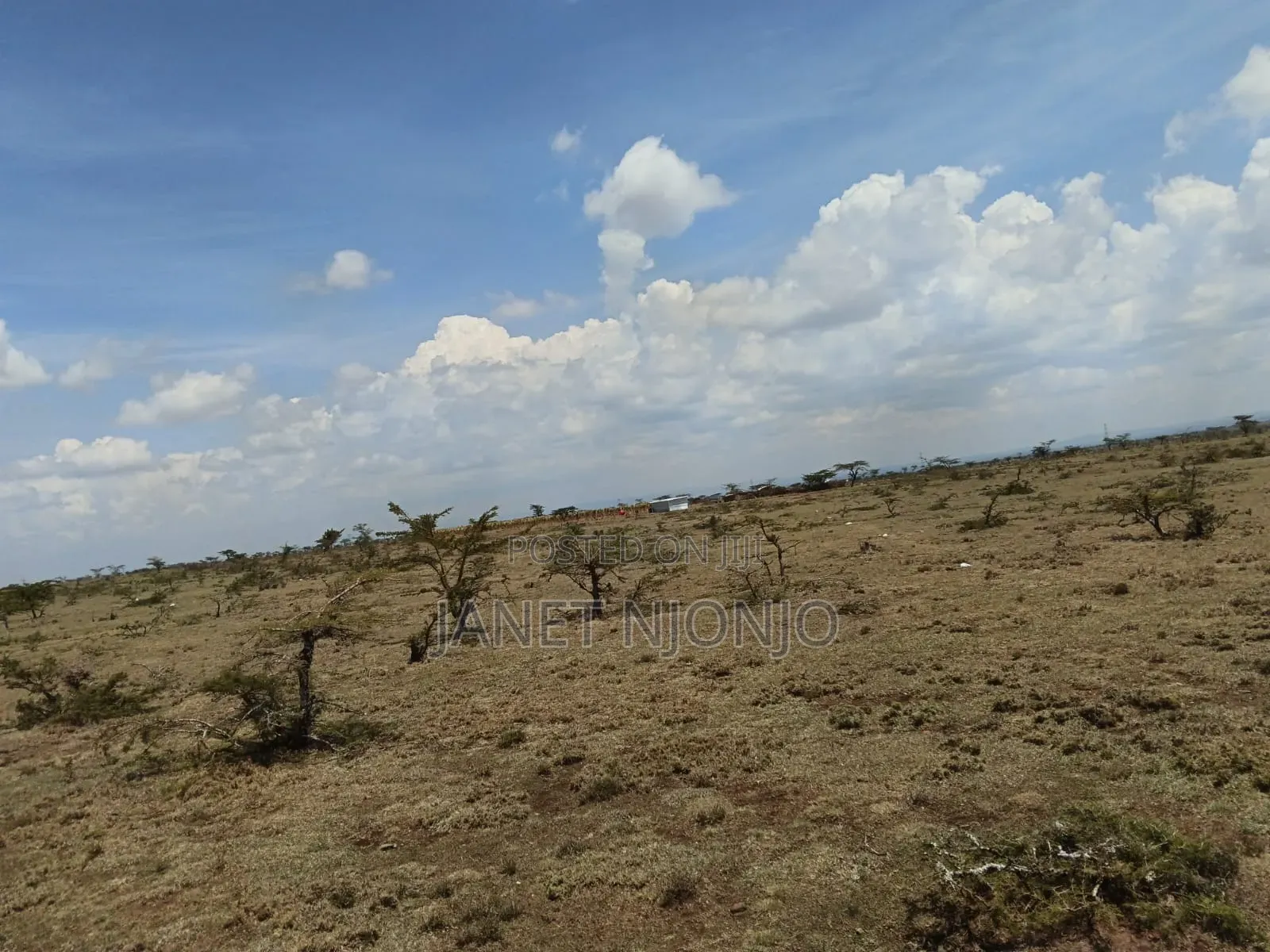 Rumuruti 50*100 Plots for Sale