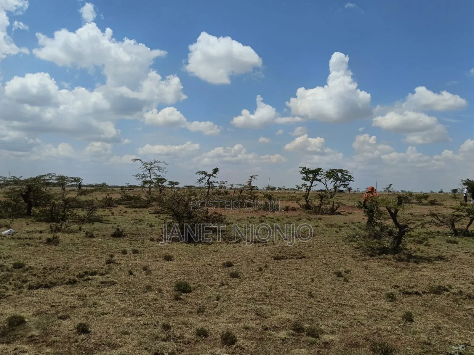 Rumuruti 50*100 Plots for Sale