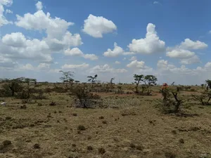 Rumuruti 50*100 Plots for Sale