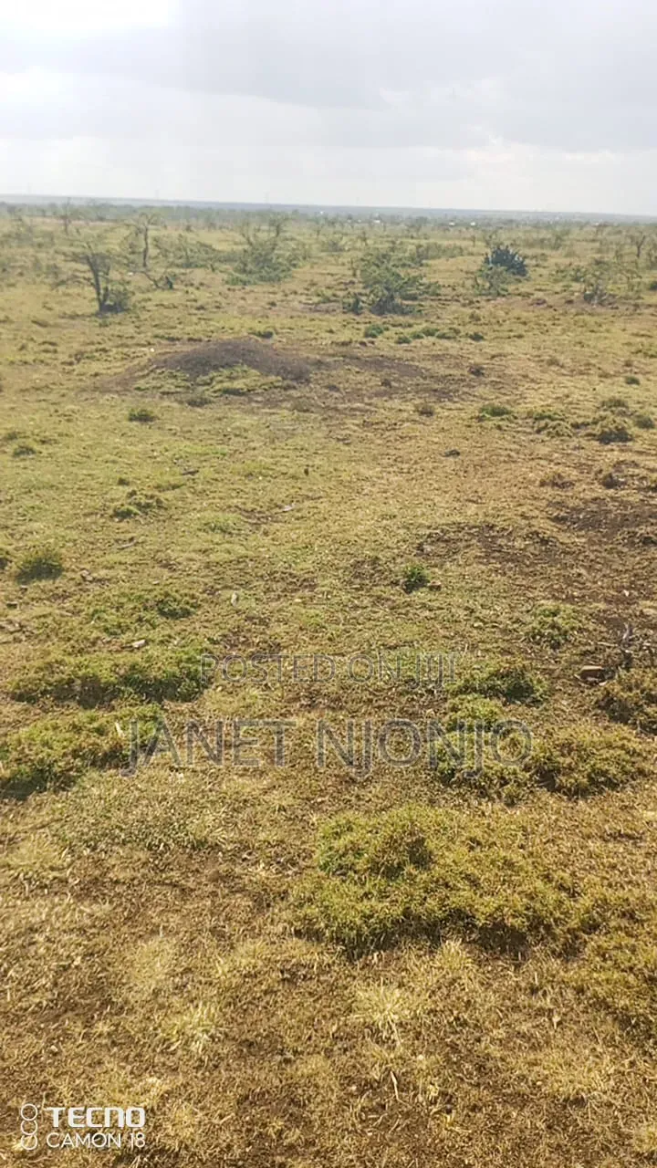 Rumuruti 50*100 Plots for Sale