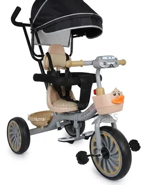 Musical Tricycle With Canopy Protective Gear Front Basket
