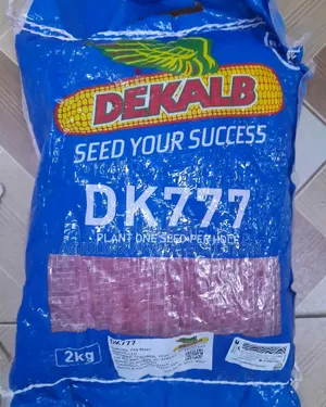 Dk 777 Maize Seed 2kg