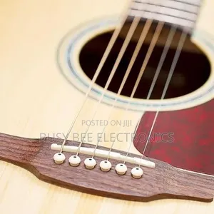 Acoustic Guitar Bridge Pins, Replacement Set for Acoustic Guitar