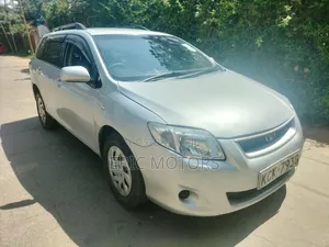 Toyota Corolla Fielder 2009 Silver