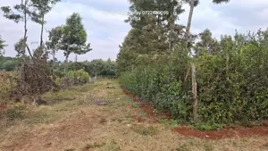 Prime 100x100 Orchard Plot for Sale – Kibiko, Baboon Crescent Road