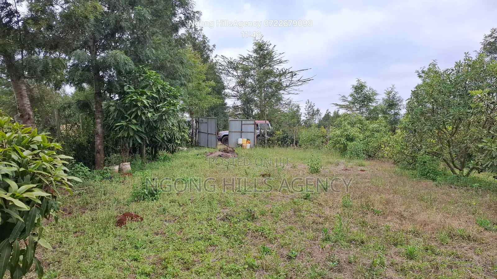 Prime 100x100 Orchard Plot for Sale – Kibiko, Baboon Crescent Road